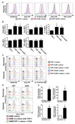 IFN gamma Antibody in Flow Cytometry (Flow)