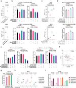 CD366 (TIM3) Antibody in Flow Cytometry (Flow)