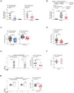 IgA Antibody in Flow Cytometry (Flow)