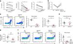 F4/80 Antibody in Flow Cytometry (Flow)