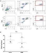 F4/80 Antibody in Flow Cytometry (Flow)