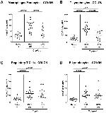 FOXP3 Antibody in Immunohistochemistry (IHC)