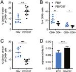 F4/80 Antibody in Flow Cytometry (Flow)