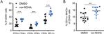 MHC Class II (I-A/I-E) Antibody in Flow Cytometry (Flow)