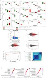 CD5 Antibody in Flow Cytometry (Flow)