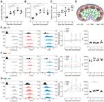 Podoplanin Antibody in Flow Cytometry (Flow)