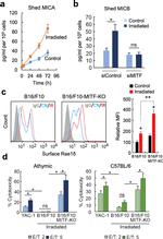 RAE1 delta Antibody in Flow Cytometry (Flow)