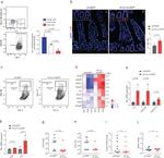 CD326 (EpCAM) Antibody in Flow Cytometry (Flow)