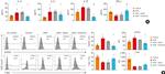 T-bet Antibody in Flow Cytometry (Flow)