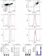 iNOS Antibody in Flow Cytometry (Flow)