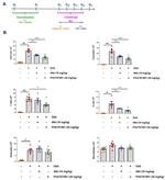 Ly-6G/Ly-6C Antibody in Flow Cytometry (Flow)