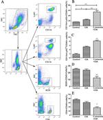 Ly-6C Antibody in Flow Cytometry (Flow)