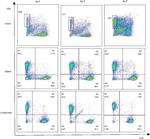 CD3e Antibody in Flow Cytometry (Flow)