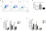 Ly-6C Antibody in Flow Cytometry (Flow)