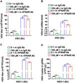 IFNAR1 Antibody in Neutralization (Neu)