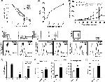 CD274 (PD-L1, B7-H1) Antibody in Flow Cytometry (Flow)