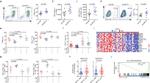 TNF alpha Antibody in Flow Cytometry (Flow)