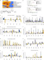 CD274 (PD-L1, B7-H1) Antibody in Flow Cytometry (Flow)