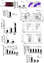 IgA Antibody in Flow Cytometry (Flow)