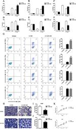 IL-1 beta (Pro-form) Antibody in Flow Cytometry (Flow)