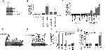 IL-17A Antibody in Neutralization (Neu)