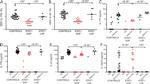 IL-17A Antibody in Flow Cytometry (Flow)