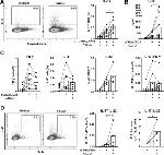 IFN gamma Antibody in Flow Cytometry (Flow)