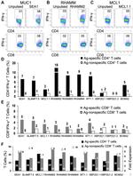 CD8a Antibody in Flow Cytometry (Flow)