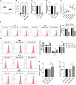 TNF alpha Antibody in Flow Cytometry (Flow)