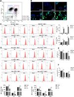 TNF alpha Antibody in Flow Cytometry (Flow)