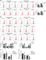 TNF alpha Antibody in Flow Cytometry (Flow)