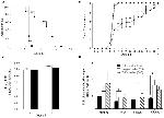 TNF alpha Antibody in Neutralization (Neu)