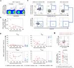 TIGIT Antibody in Flow Cytometry (Flow)