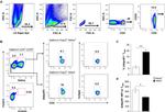 HELIOS Antibody in Flow Cytometry (Flow)