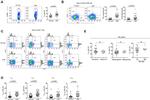 CD278 (ICOS) Antibody in Flow Cytometry (Flow)