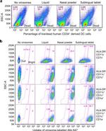 HLA-DR Antibody in Flow Cytometry (Flow)