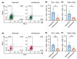 CD279 (PD-1) Antibody in Flow Cytometry (Flow)