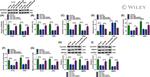 Cyclin D1 Antibody in Western Blot (WB)