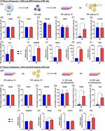 CD105 Antibody in Flow Cytometry (Flow)