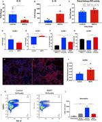 S1P1 Antibody in Immunocytochemistry (ICC/IF)