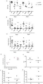 Ly-6G/Ly-6C Antibody in Flow Cytometry (Flow)