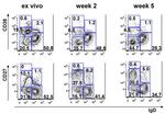 CD27 Antibody in Flow Cytometry (Flow)