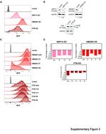 PTBP1 Antibody in Western Blot (WB)