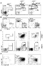 CD45R (B220) Antibody in Flow Cytometry (Flow)