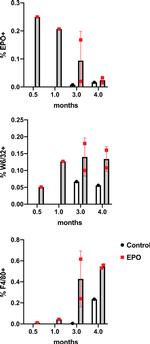 Epo Antibody in Immunohistochemistry (Paraffin) (IHC (P))