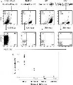 Tyrosinase Antibody in Flow Cytometry (Flow)