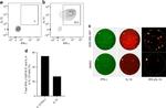 CD14 Antibody in Flow Cytometry (Flow)