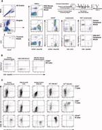 CD45 Antibody in Flow Cytometry (Flow)