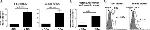 EOMES Antibody in Flow Cytometry (Flow)