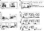 IL-17A Antibody in Flow Cytometry (Flow)